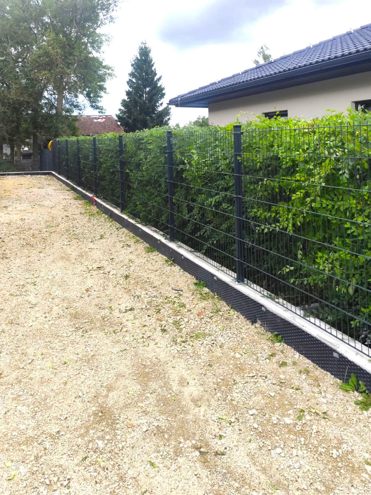 a6589796-a292-45f7-ba32-f3082c91f5ff